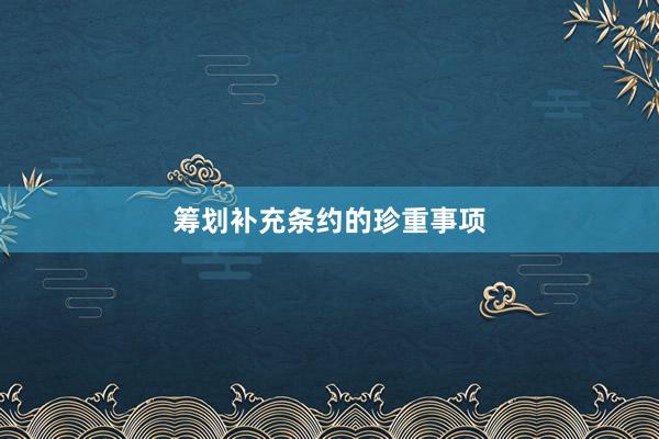 筹划补充条约的珍重事项