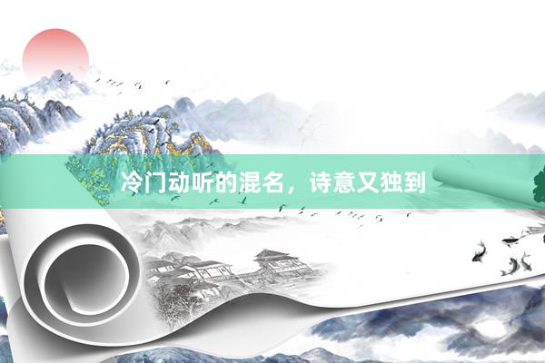 冷门动听的混名，诗意又独到