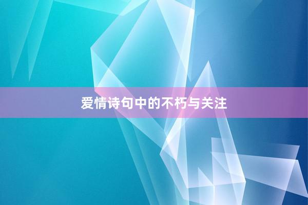爱情诗句中的不朽与关注